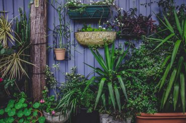 Grow a plant if you want to be a better designer