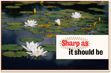 How Makimo ensured quality of Toastmasters District 108 Conference hybrid contests